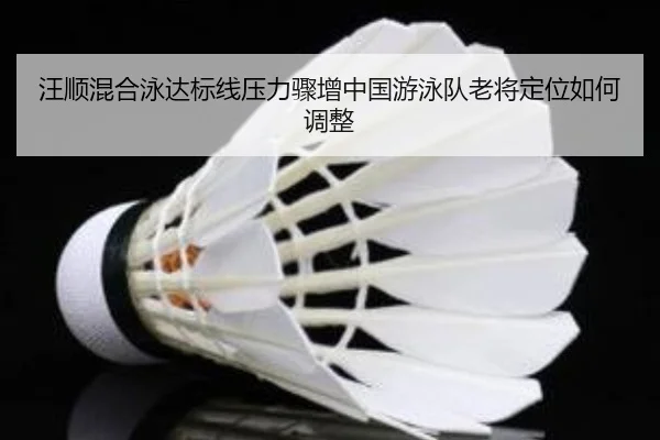 wang-shun-hun-he-yong-da-biao-xian-ya-li-zhou-zeng-zhong-guo-you-yong-dui-lao-jiang-ding-wei-ru-he-tiao-zheng-2-517.jpg